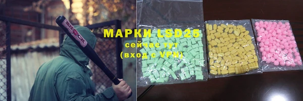 spice Аркадак