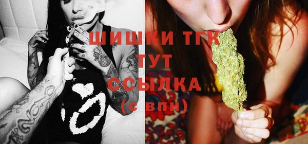 spice Аркадак