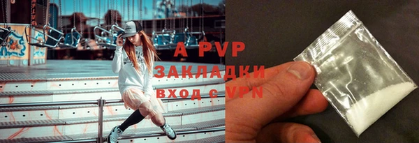 spice Аркадак